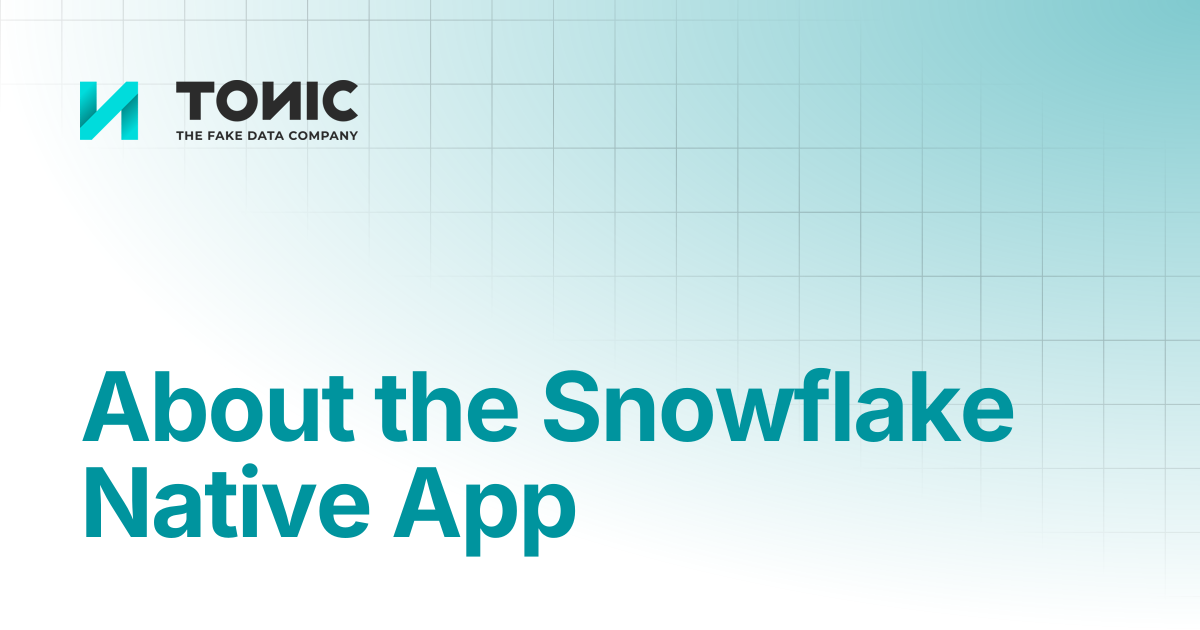 About the Snowflake Native App | Tonic Textual | Tonic.ai documentation